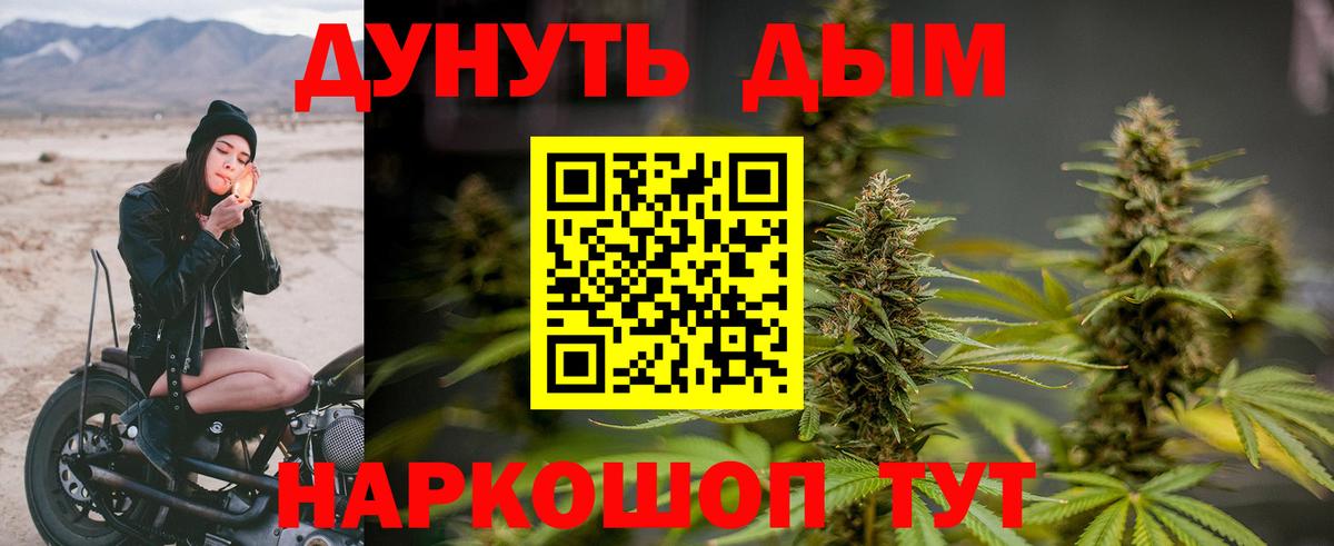 Бошки Шишки Bruce Banner Гудермес